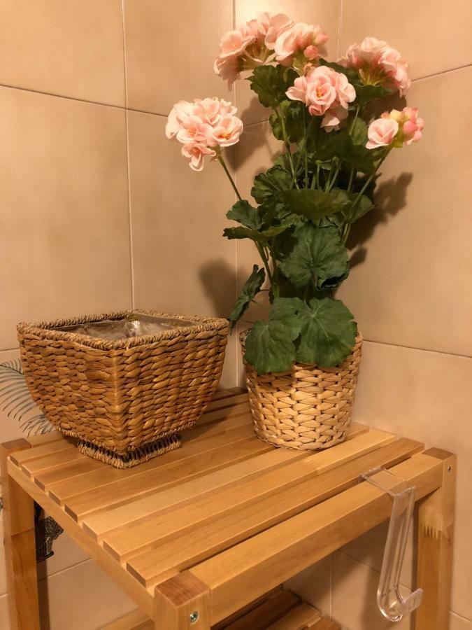 Bed and Breakfast Da Paola Pisa Exterior foto