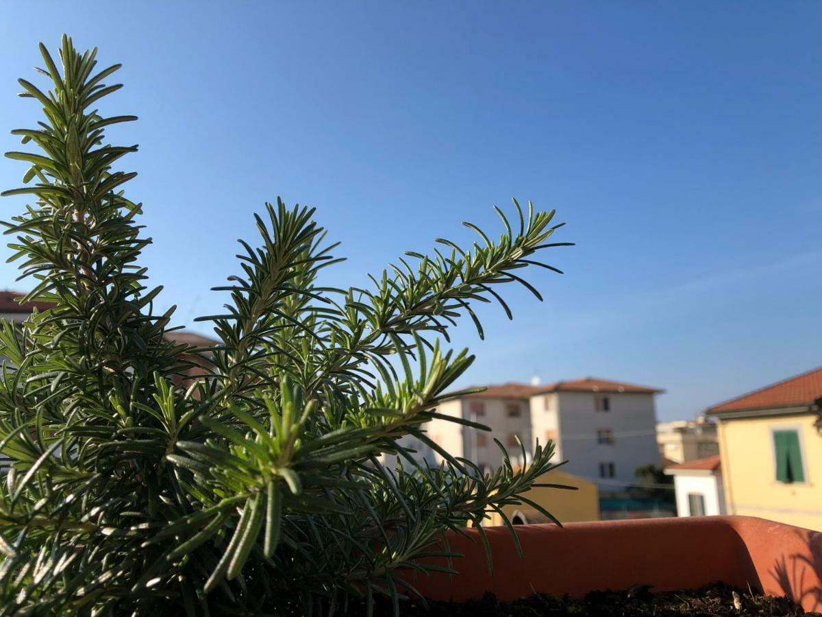 Bed and Breakfast Da Paola Pisa Exterior foto
