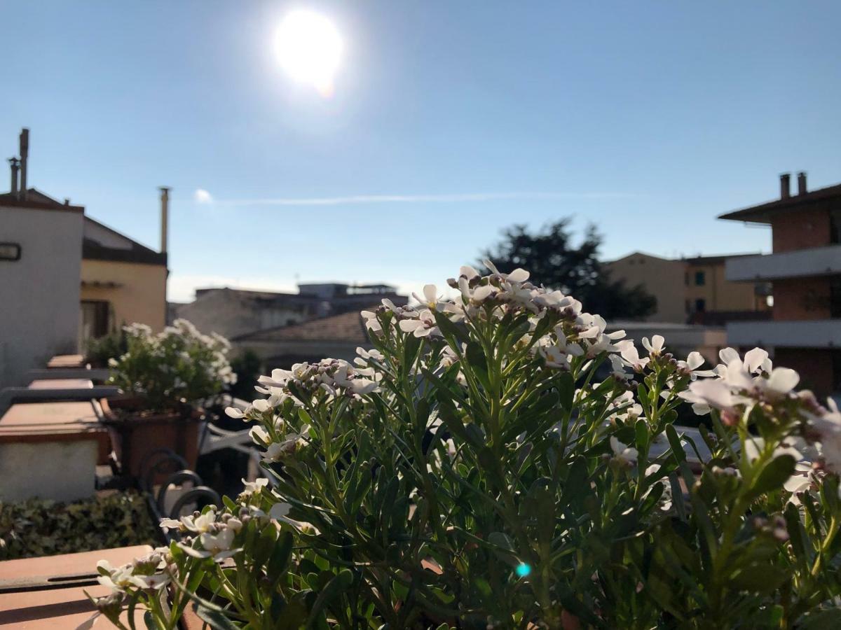Bed and Breakfast Da Paola Pisa Exterior foto